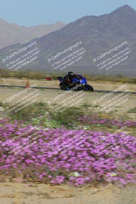 media/Feb-04-2023-SoCal Trackdays (Sat) [[8a776bf2c3]]/Turn 15 Inside Blooming (1050am)/